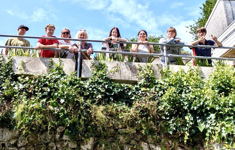 Group of people looking over a fence