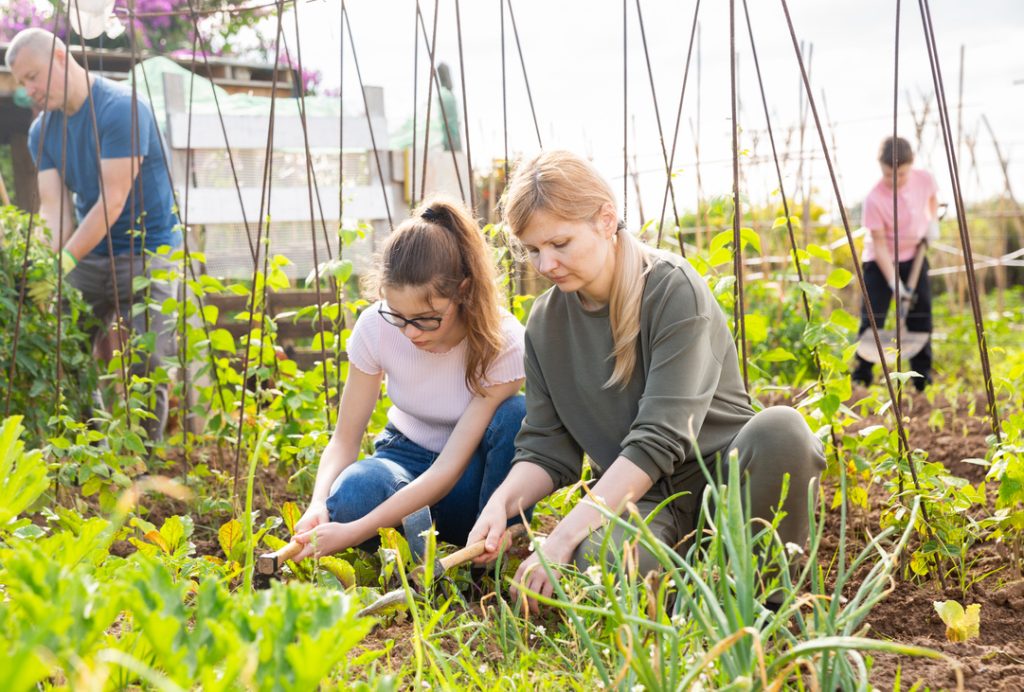 Photo of Teenage girl helping mother work in vegetable garden